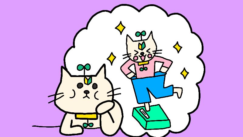 ストレッチをするとなんでダイエットできるの?