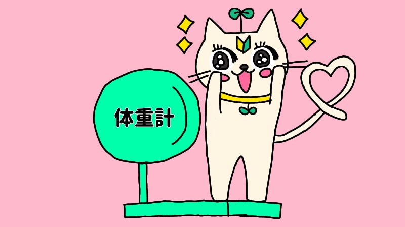 【まとめ】お腹やせストレッチでダイエットは成功できる!