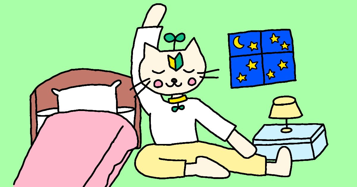 ストレッチダイエット寝る前にやるだけ！初心者でも続く簡単習慣